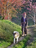 Sapa Dao Homestay
