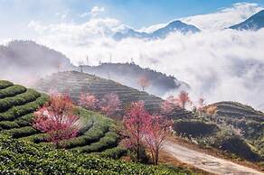 Sapa Dao Homestay