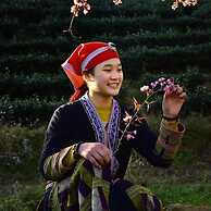 Sapa Dao Homestay