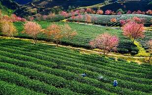 Sapa Dao Homestay