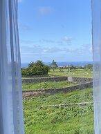 Quinta dos Bravos
