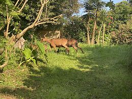 Quinta dos Bravos