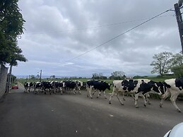 Quinta dos Bravos