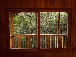 Mount Totumas Cloud Forest