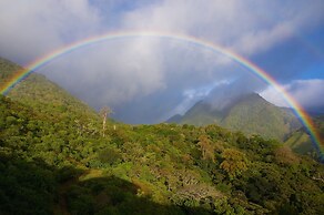 Mount Totumas Cloud Forest