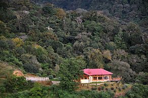 Mount Totumas Cloud Forest