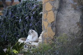B&B Eyexei Domus
