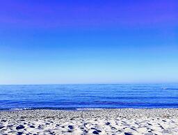Calmare