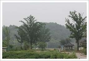 Gwiae Traditional House
