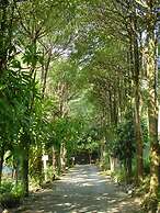 De Wang Villa
