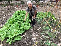 De Wang Villa