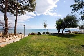 Opera Studio with Pool by TrulyCyprus