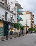 B&B Verzus