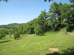 Camping des vignes