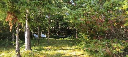 Camping des vignes