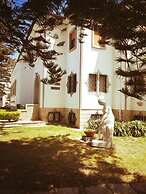 Espinho Vintage