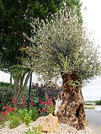 Kyriad Direct Saint Brieuc - Parc des Expositions