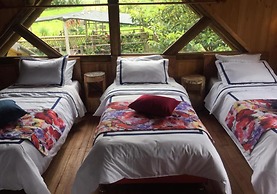 Eco Hotel las Palmas de Cocora