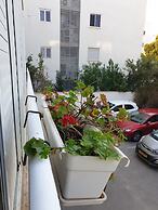 Comfortable apartment