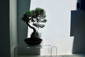 The Root2 Hotel
