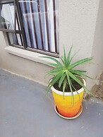 BTV Guesthouse