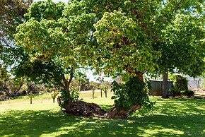 Fairlawn Estate