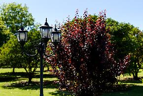 Fairlawn Estate