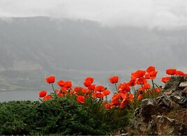 Misty Mountain B&B