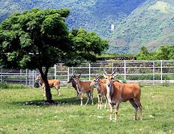 Chinshang Pastoral Farm Resort