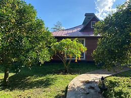 Canario Bungalows Pension