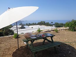 Çiftlik Tepesi