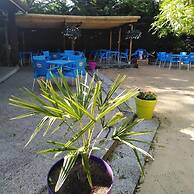 Camping Aubeterre-Sur-Dronne