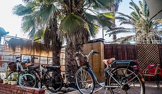 Willka Kuti Backpackers