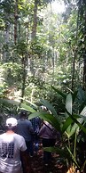 Ecoadventure Amazon