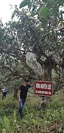 Ha Giang Historic House & tour