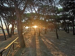 Camping Playa Taray