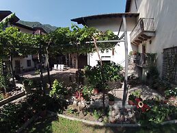 La bella corte