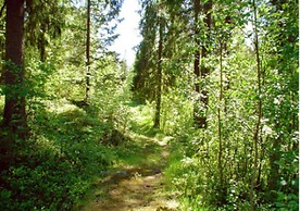 Lufta Camping