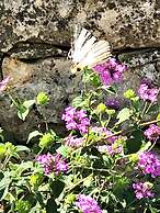 Trullo Rampone