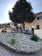 Terra Luso