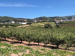 Terra Luso
