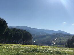 Terra Luso