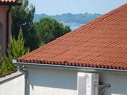 Istrian Villa Iva