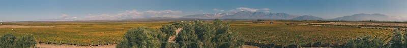Rosell Boher Winery Lodge & Spa