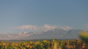 Rosell Boher Winery Lodge & Spa