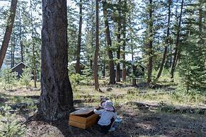 Pine Bungalows