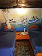 Hotel el Delfin