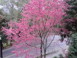 Ti Siang B&B