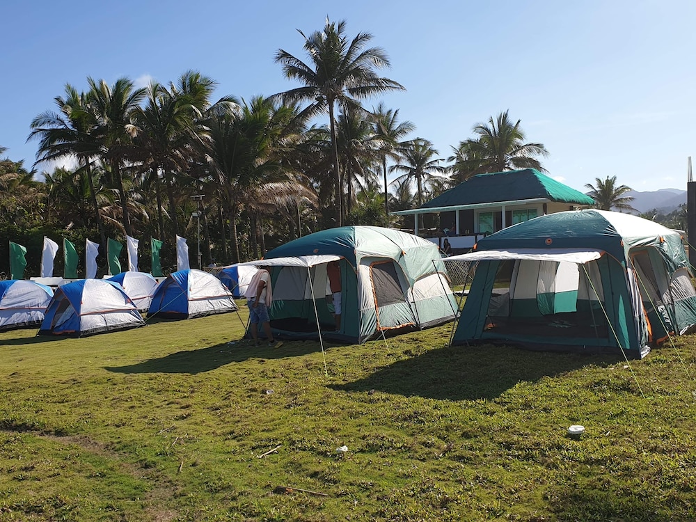Pacific Buddies - Campsite