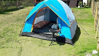 Pacific Buddies - Campsite